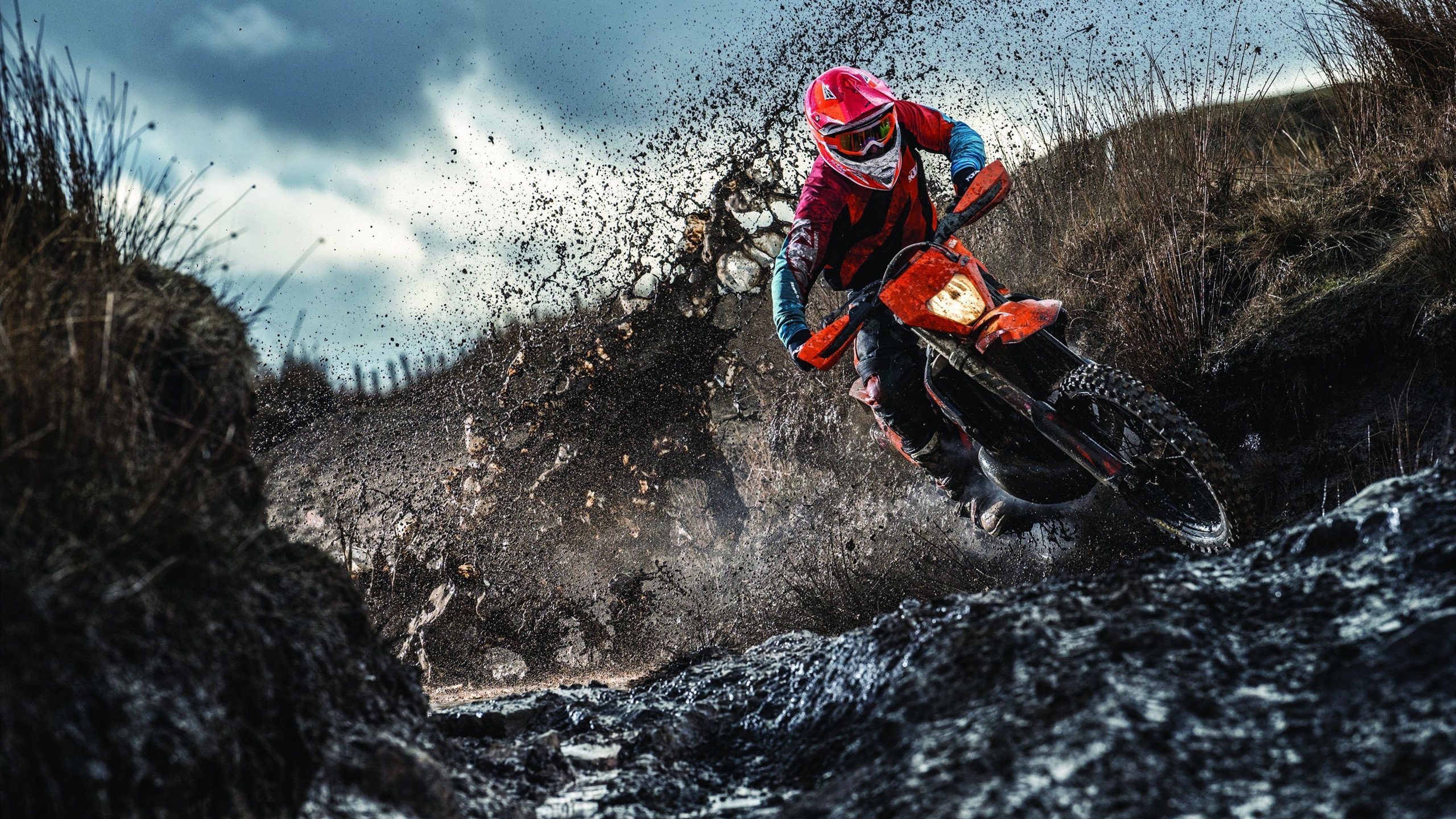 世界杯2026-杰伦格林冠军级表现撕裂防线，活塞单节狂潮埋葬猛龙