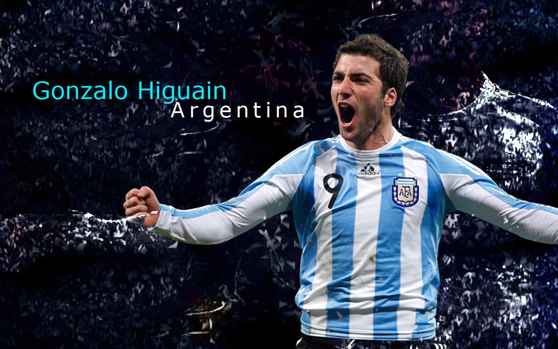 森林狼的狼嚎与贝恩的咆哮，当争冠跨越山海